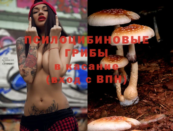ECSTASY Балабаново