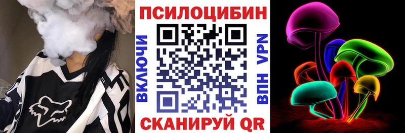 купить наркотик  Весьегонск  Псилоцибиновые грибы прущие грибы 